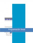 Programacion Lineal