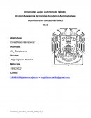 CUESTIONARIO TRANSACCIONES EN MONEDA EXTRANJERA Y COBERTURA DE RIESGOS CAMBIARIOS