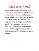 ¿Qué es un virus?