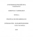 GERENCIA Y LIDERAZGO NIVEL 6 POLITICAS DE DESARROLLO II