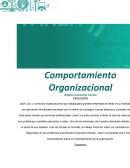 Introducción al Comportamiento Organizacional. Comportamiento Organizacional