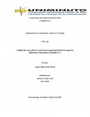 Análisis de caso sobre la estructura organizacional de la empresa Industrias Alimenticias Salsalito S.A