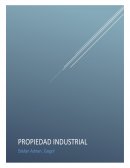 Propiedad Industrial - Marcas