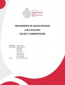 TRATAMIENTO DE AGUAS SERVIDAS, LODOS ACTIVADOS
