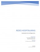 Informe Redes Hospitalarias