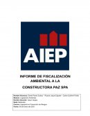 Informe de Medioambiente la Constructora La Paz
