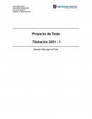 Proyecto Tesis. J.E. Jaimes Ingenieros S.A