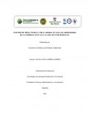 Estudio De Impacto Del Clima Laboral En Los Colaboradores De La Empresa Texcauca S.A Del Sector Medellín