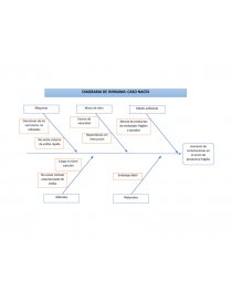Diagrama de Ishikawa Caso Nacex - Prácticas o problemas - Daniel Fernandez  Cordero