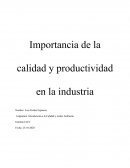 Importancia de la calidad y productividad en la industria