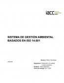 SISTEMA DE GESTIÓN AMBIENTAL BASADOS EN ISO 14.001