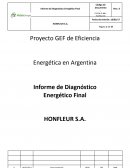 Proyecto GEF de Eficiencia Energética en Argentina Informe de Diagnóstico Energético Final HONFLEUR S.A. 0