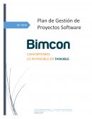 Plan de Gestión de Proyectos Software