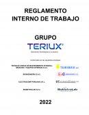 Reglamento interno de trabajo. Grupo Teriux