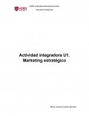 Actividad integradora U1. Marketing estratégico
