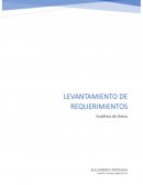 Levantamiento de requerimientos Magnusmas