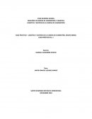 Caso práctico - Logística y gestión de la cadena de suministro, Grupo Bimbo