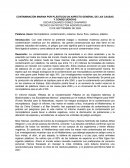 Contaminación marina por plásticos un aspecto general de las causas y consecuencias