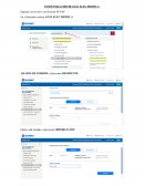 Pasos para emitir guía electronica