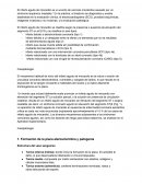 Infarto agudo del miocardio Infarto agudo del miocardio